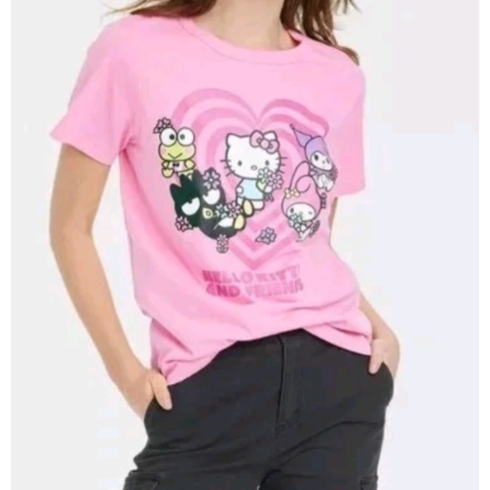 Women's Hello Kitty and Friends Heart Short Sleeve Graphic T-Shirt - Pink XXL